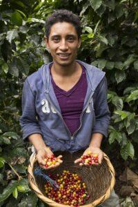 Equal Exchange Tea & Coffee: Building a Farmer-Led Future