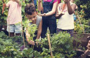 Home Gardening: Planting Seeds of Change